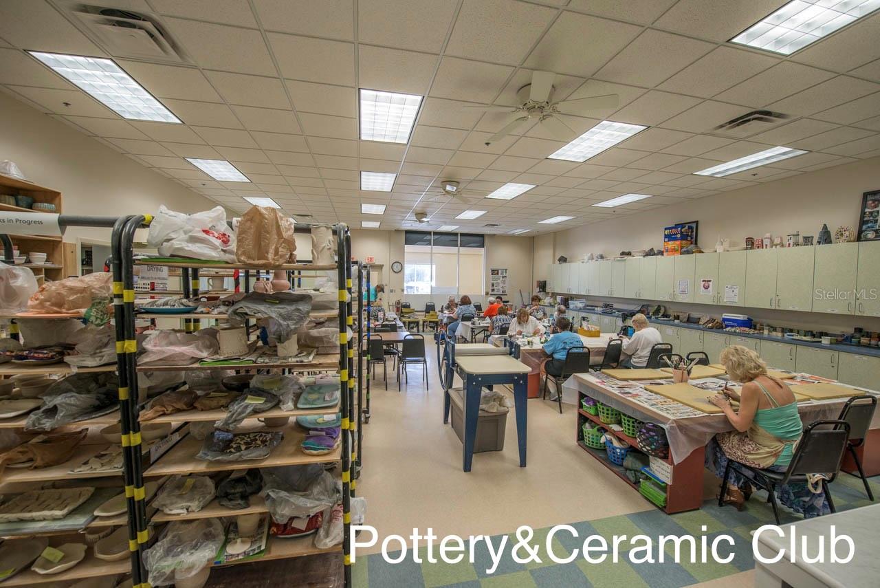 Image 52 of 98 For 917 Villeroy Greens Drive 72