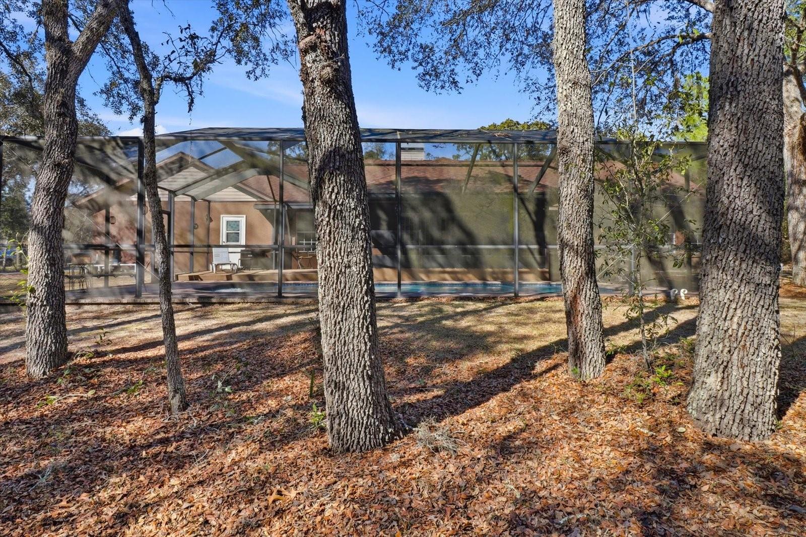 Image 36 of 47 For 5717 Nobis Circle