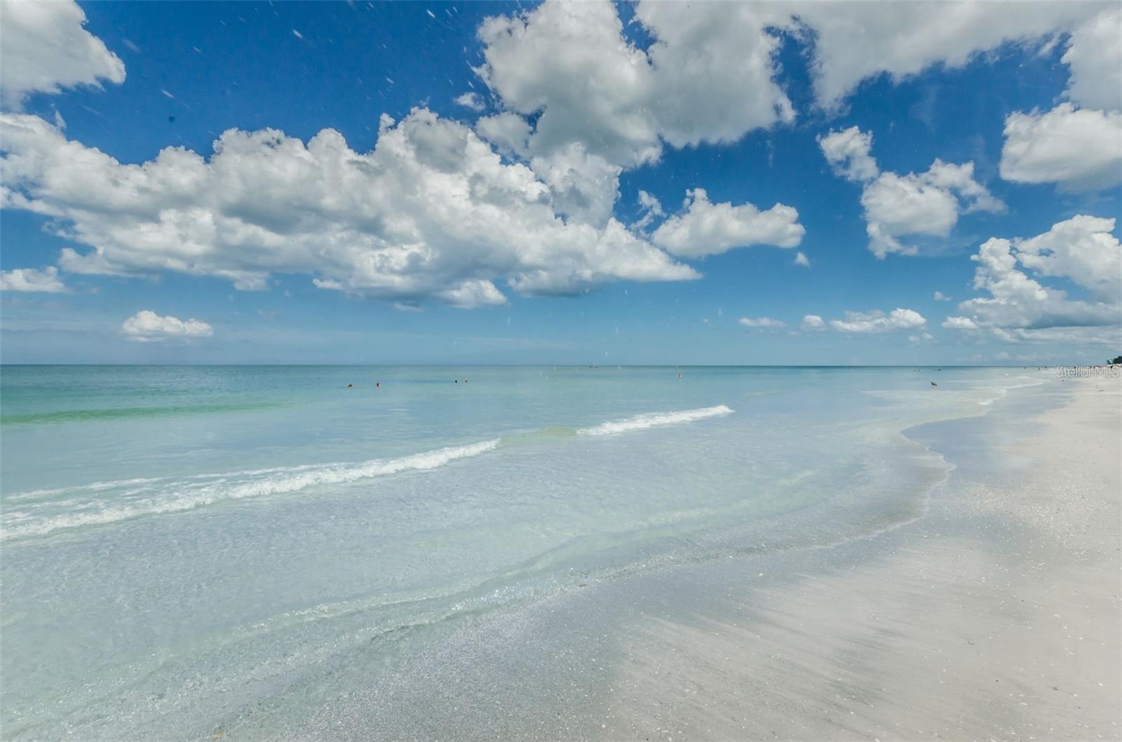 Image 82 of 88 For 900 Gulf Boulevard 907