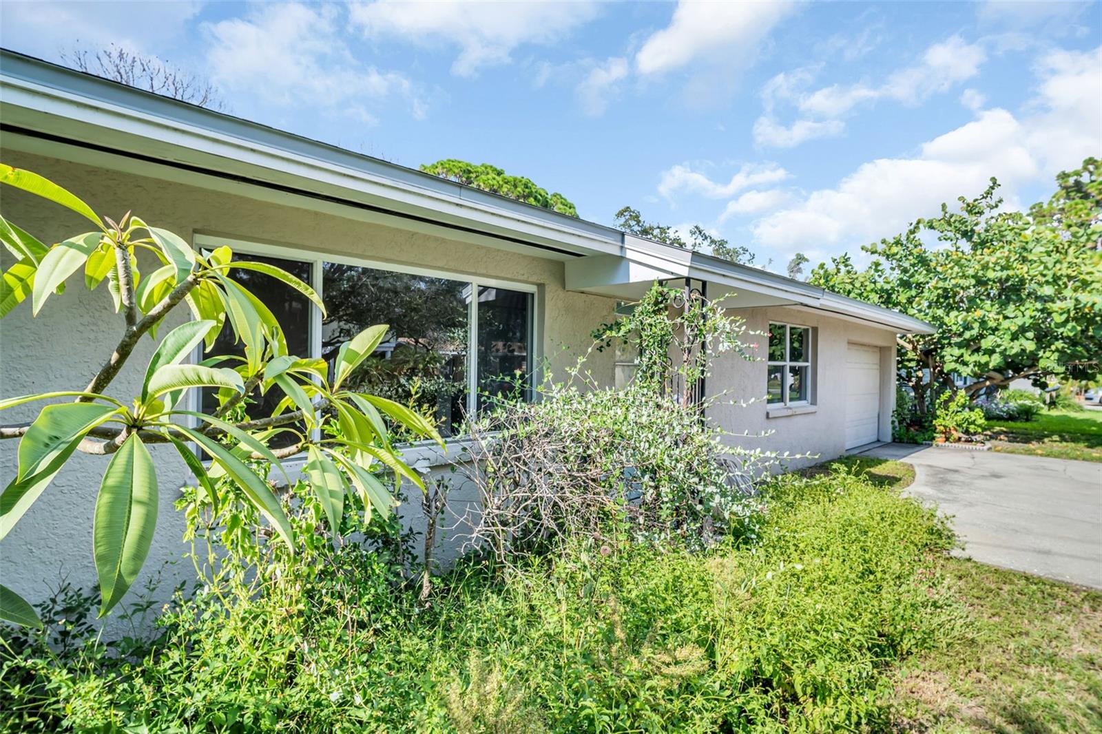 Image 25 of 45 For 402 Orchid Lane Lane