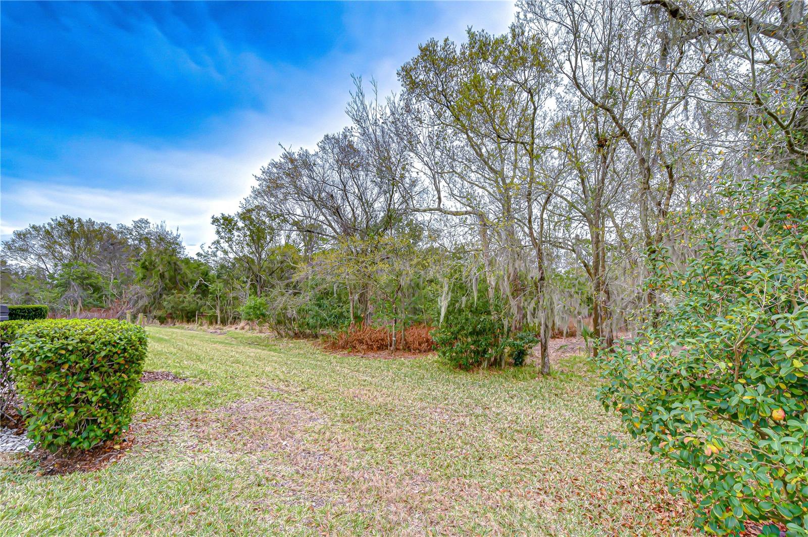 Image 3 of 35 For 16158 Amethyst Key Drive