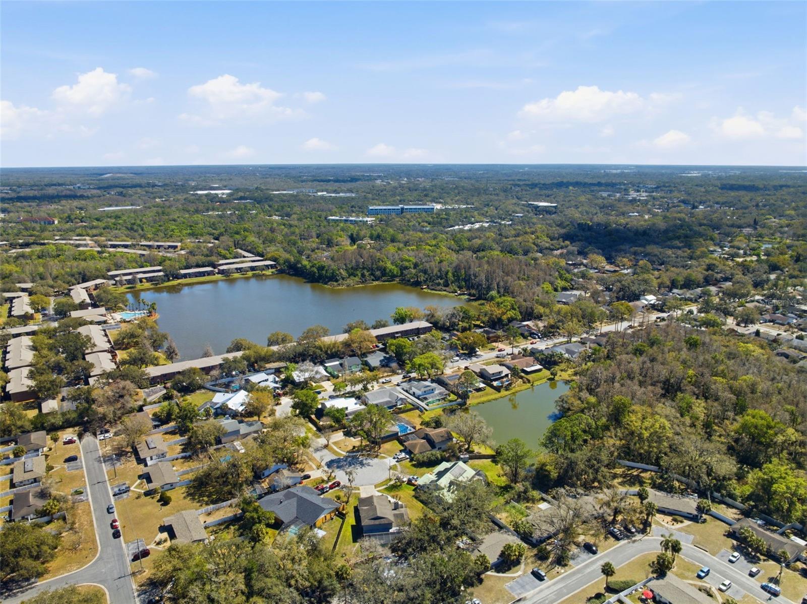 Listing photo id 46 for 12935 Rain Forest Street