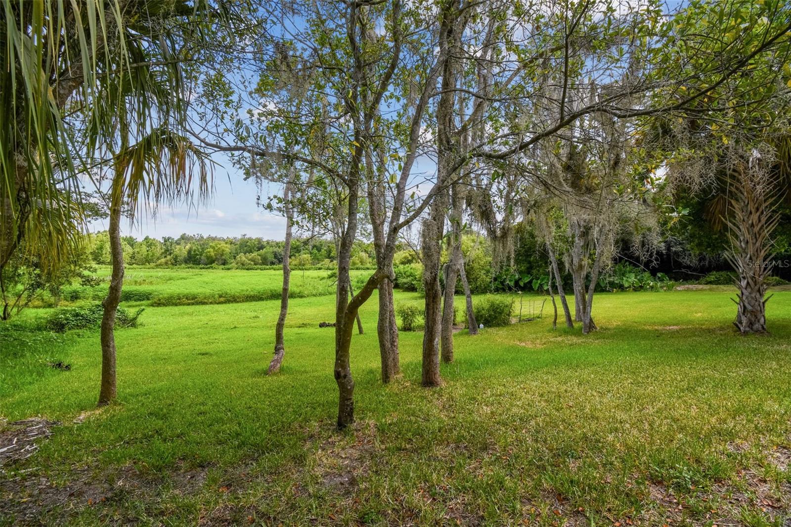 Image 7 of 8 For Dixie Avenue