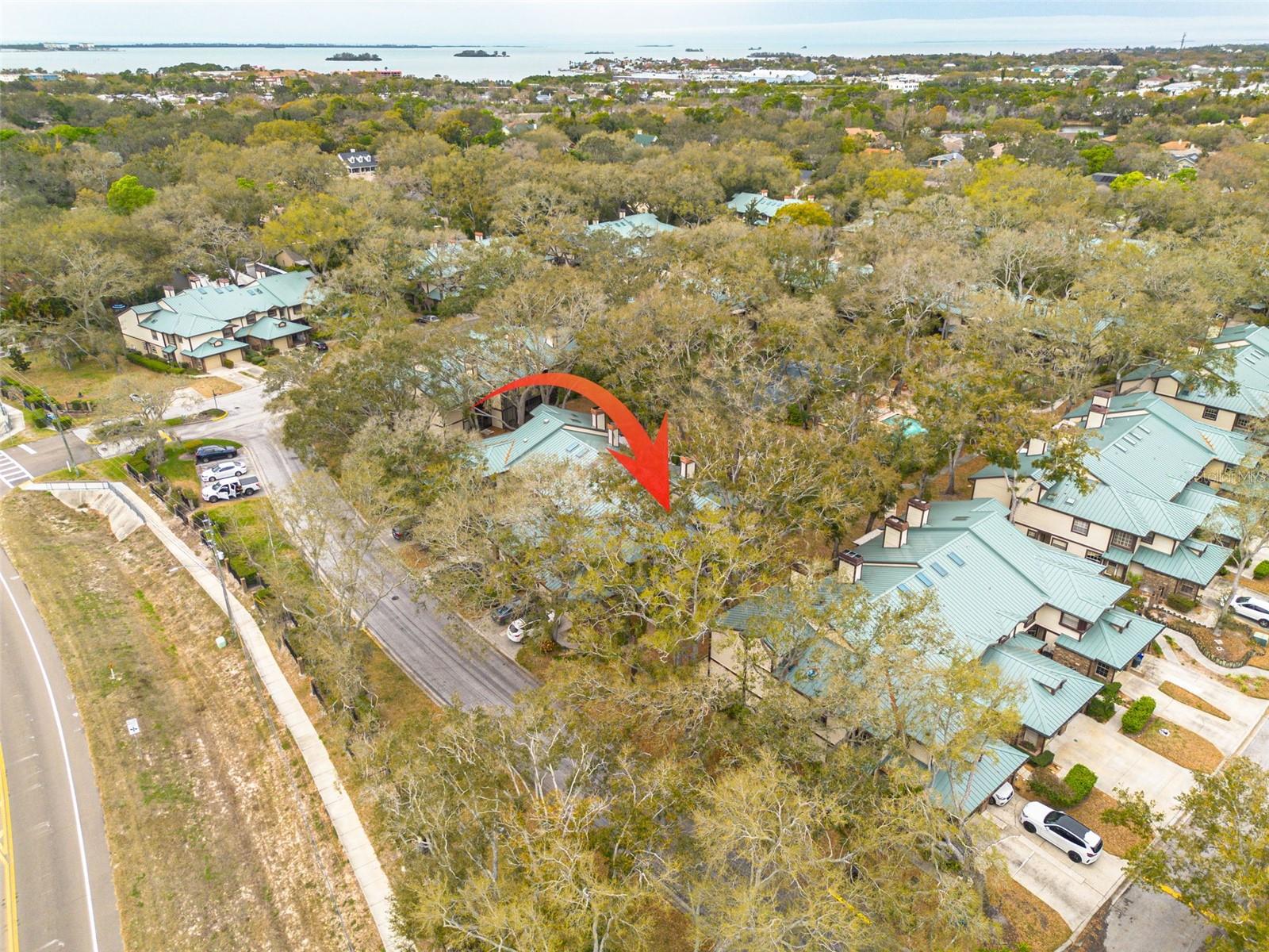 Details for 1484 Buckeye Lane, PALM HARBOR, FL 34683