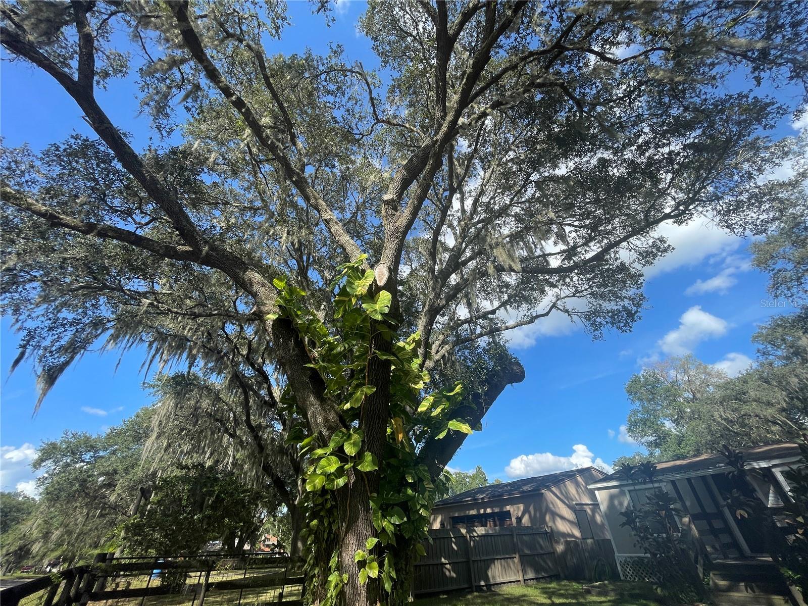 Image 33 of 33 For 8824 Overlook Dr