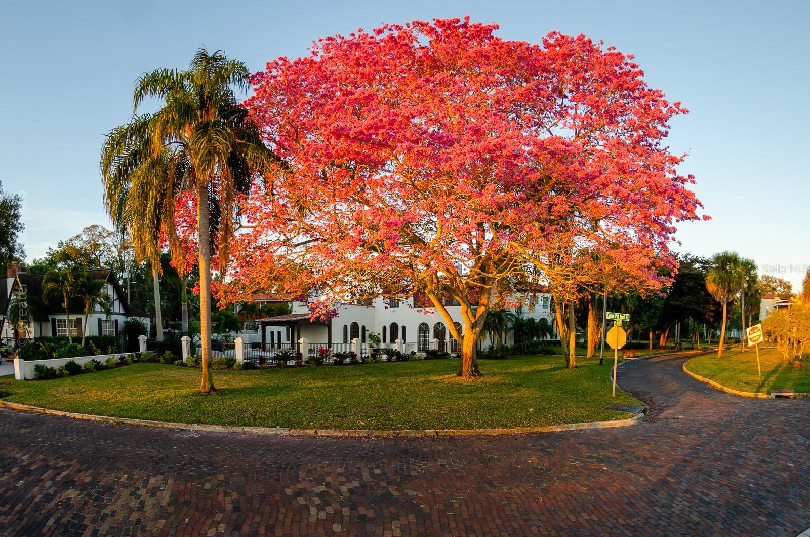 Image 25 of 53 For 238 43rd Avenue N