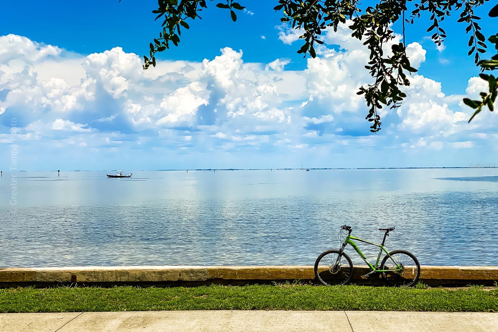 Image 29 of 53 For 238 43rd Avenue N