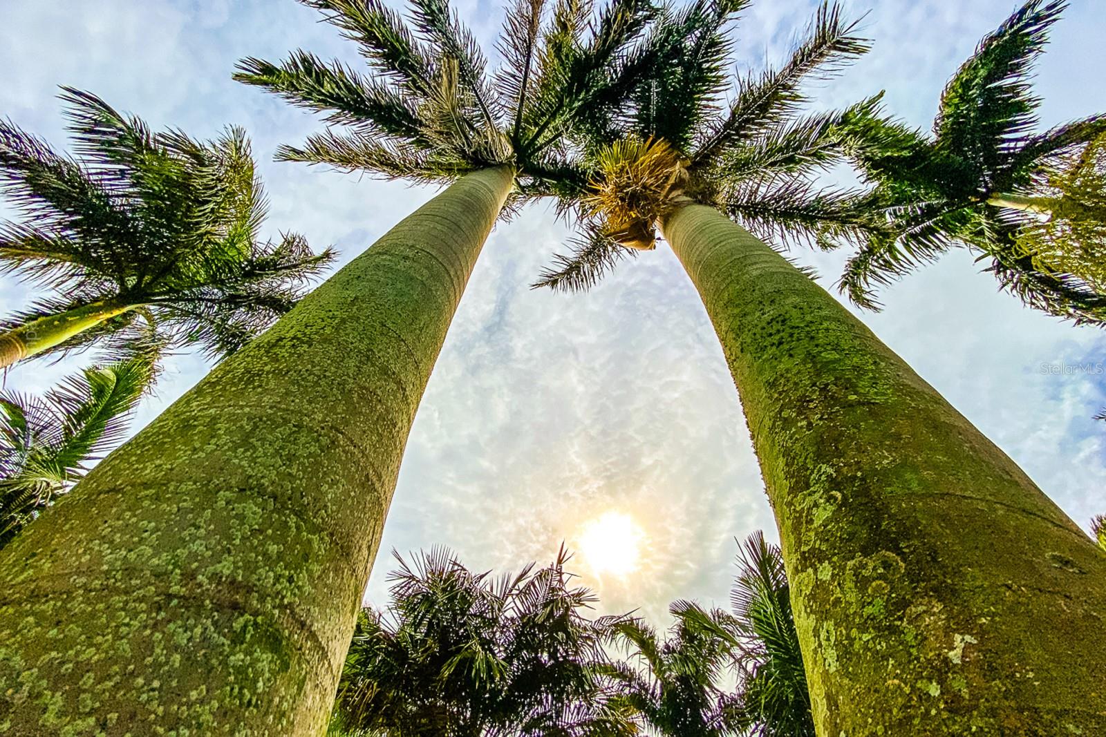 Image 31 of 53 For 238 43rd Avenue N