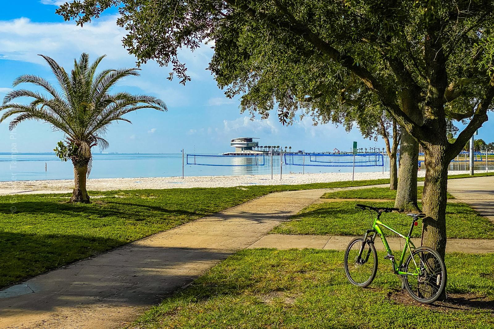 Image 32 of 53 For 238 43rd Avenue N