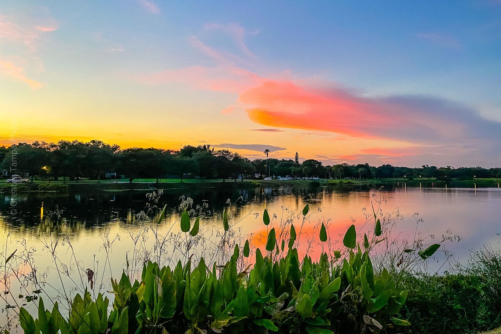 Image 33 of 53 For 238 43rd Avenue N