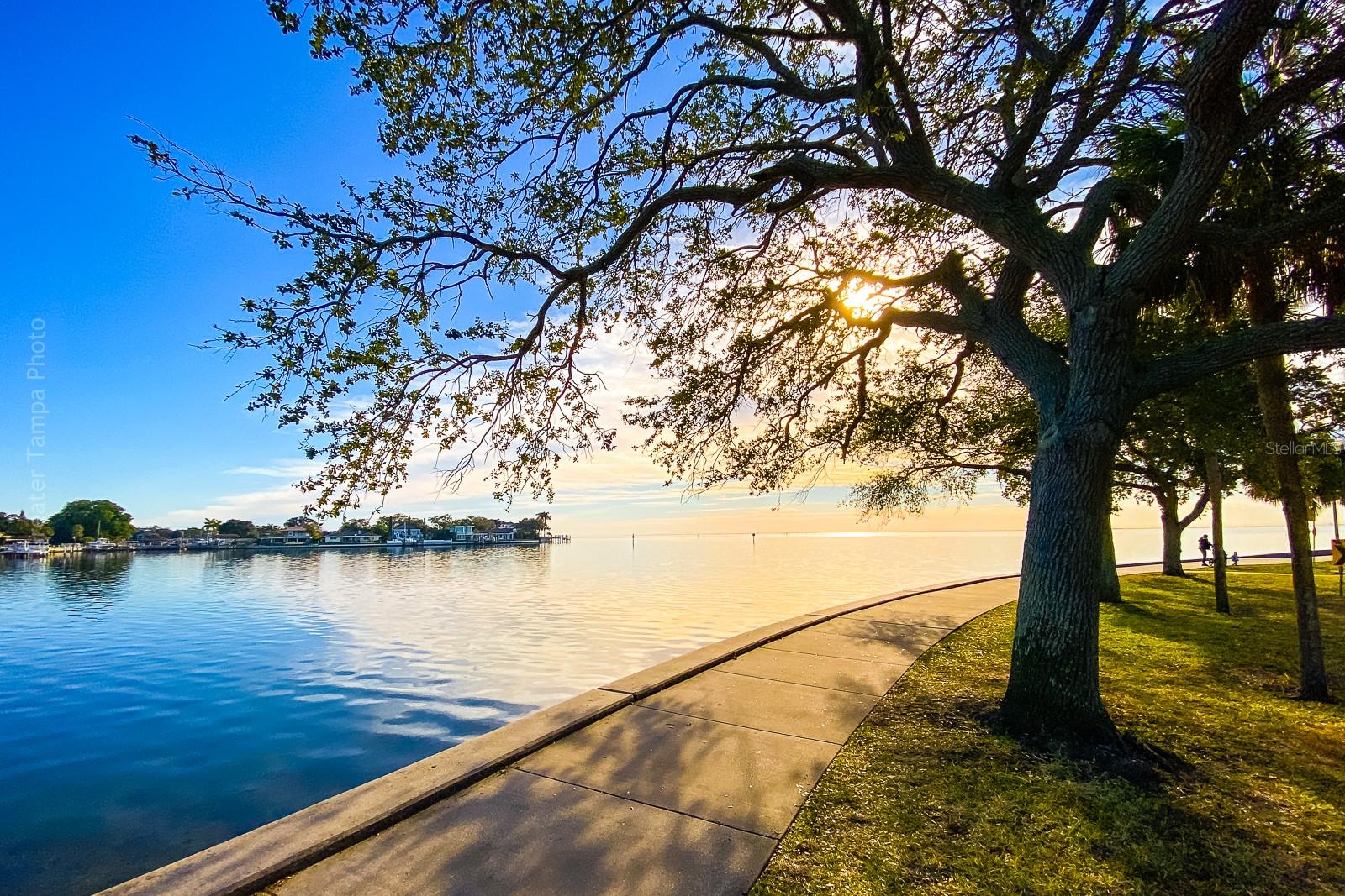 Image 36 of 53 For 238 43rd Avenue N