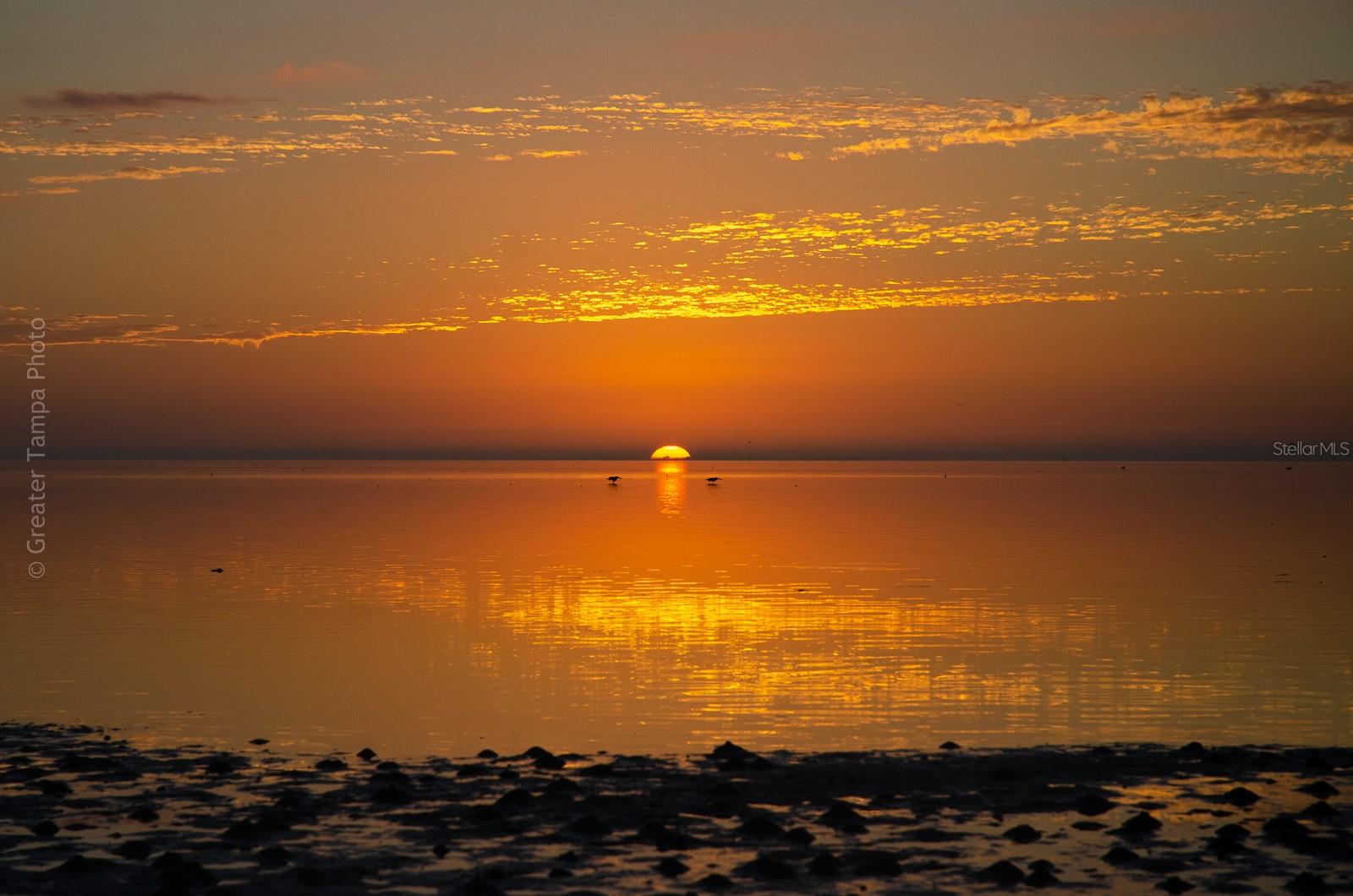 Image 39 of 53 For 238 43rd Avenue N