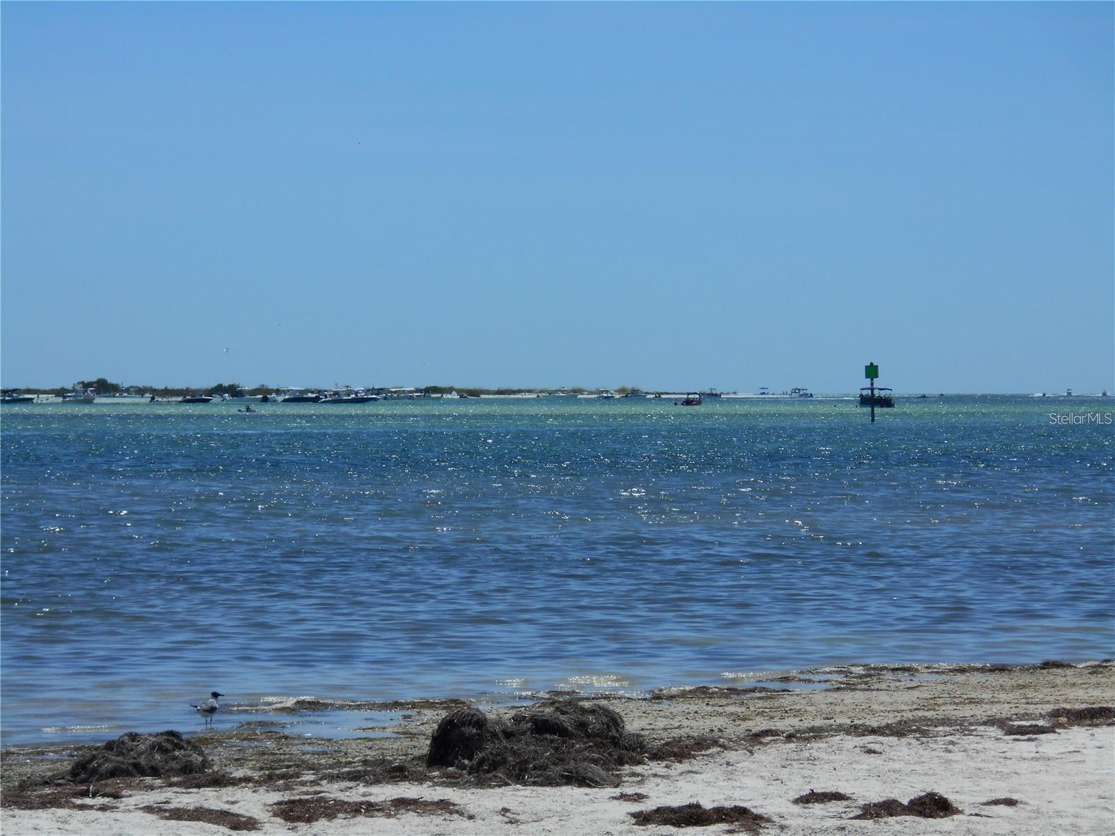 Image 31 of 38 For 2700 Bayshore Boulevard 4103