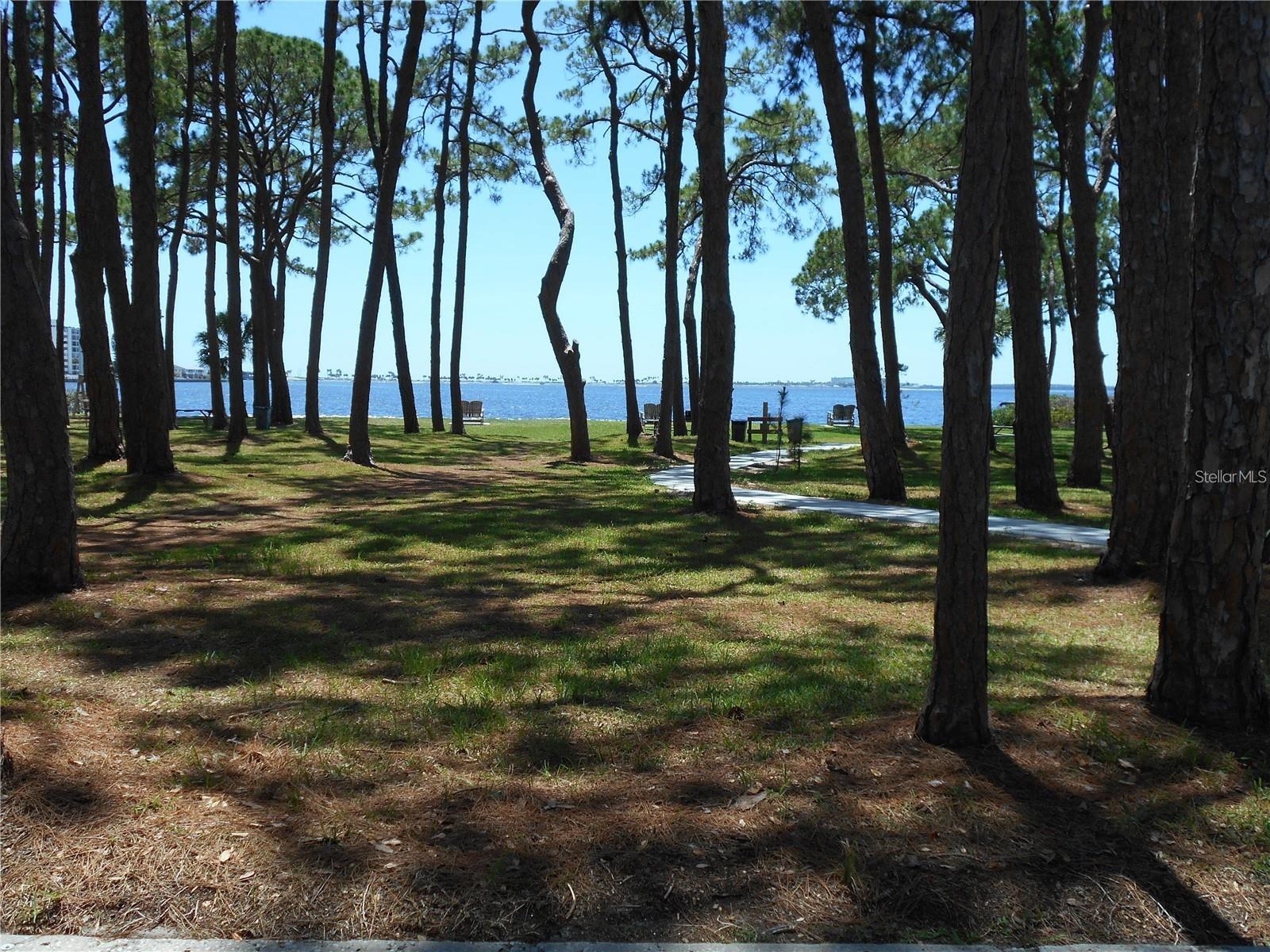 Image 32 of 38 For 2700 Bayshore Boulevard 4103