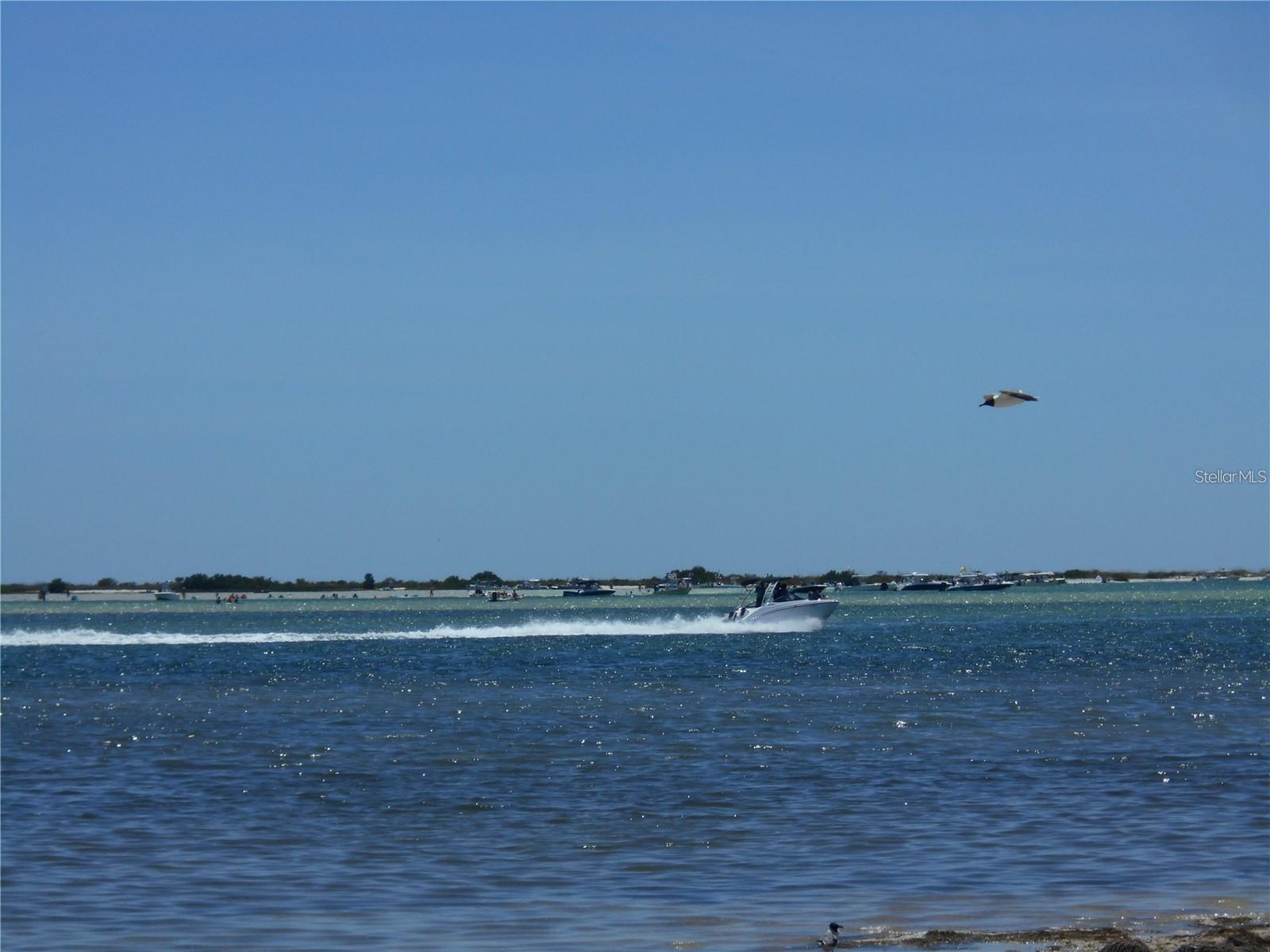 Image 33 of 38 For 2700 Bayshore Boulevard 4103