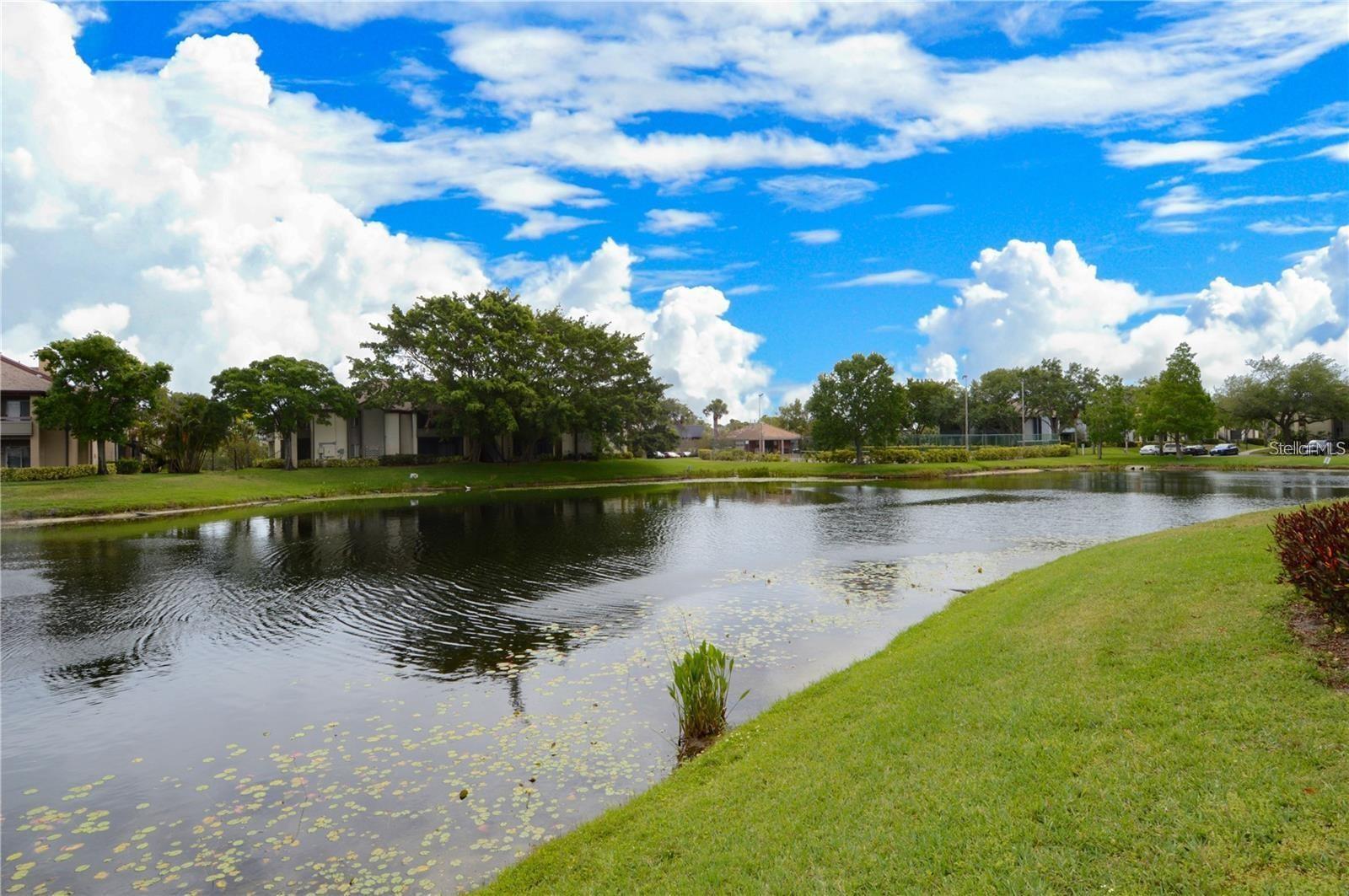 Image 47 of 95 For 10263 Gandy Boulevard N 505