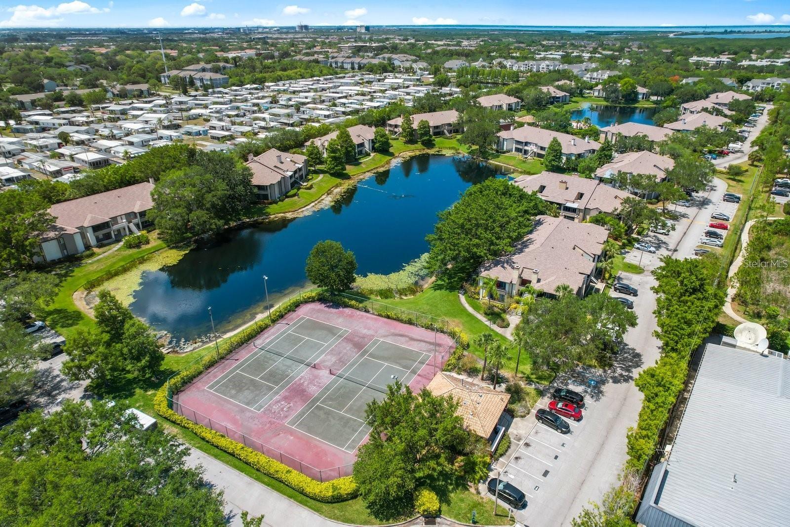 Image 50 of 95 For 10263 Gandy Boulevard N 505