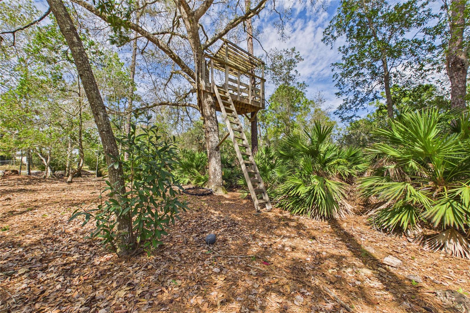 Image 82 of 91 For 21038 Reindeer Road