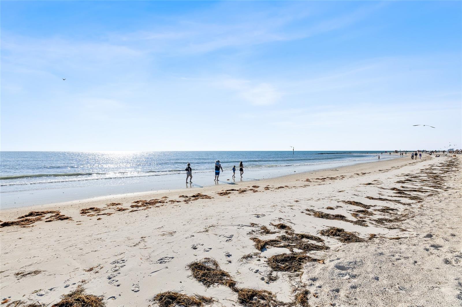 Image 44 of 46 For 3625 Pelican Court