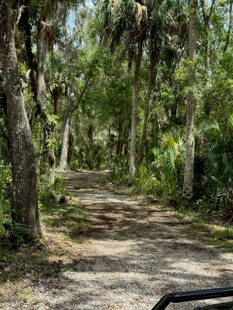 Image 14 of 15 For 1040 Cracker Hammock