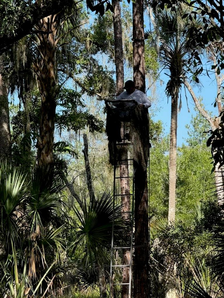 Image 15 of 15 For 1040 Cracker Hammock