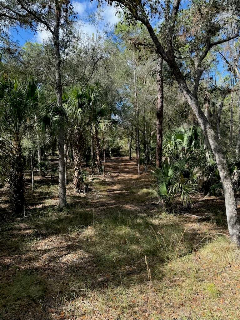 Image 2 of 15 For 1040 Cracker Hammock