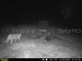 Image 5 of 15 For 1040 Cracker Hammock