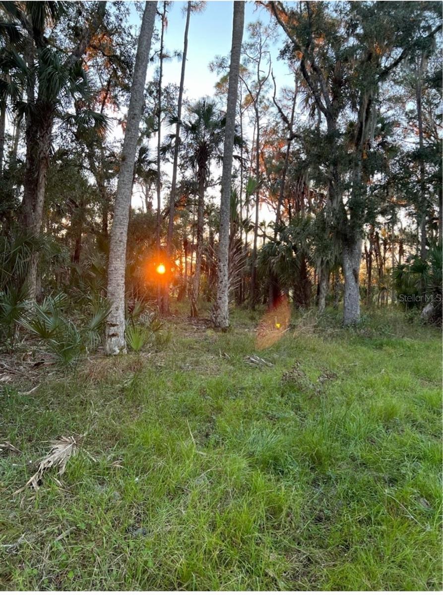 Image 6 of 15 For 1040 Cracker Hammock