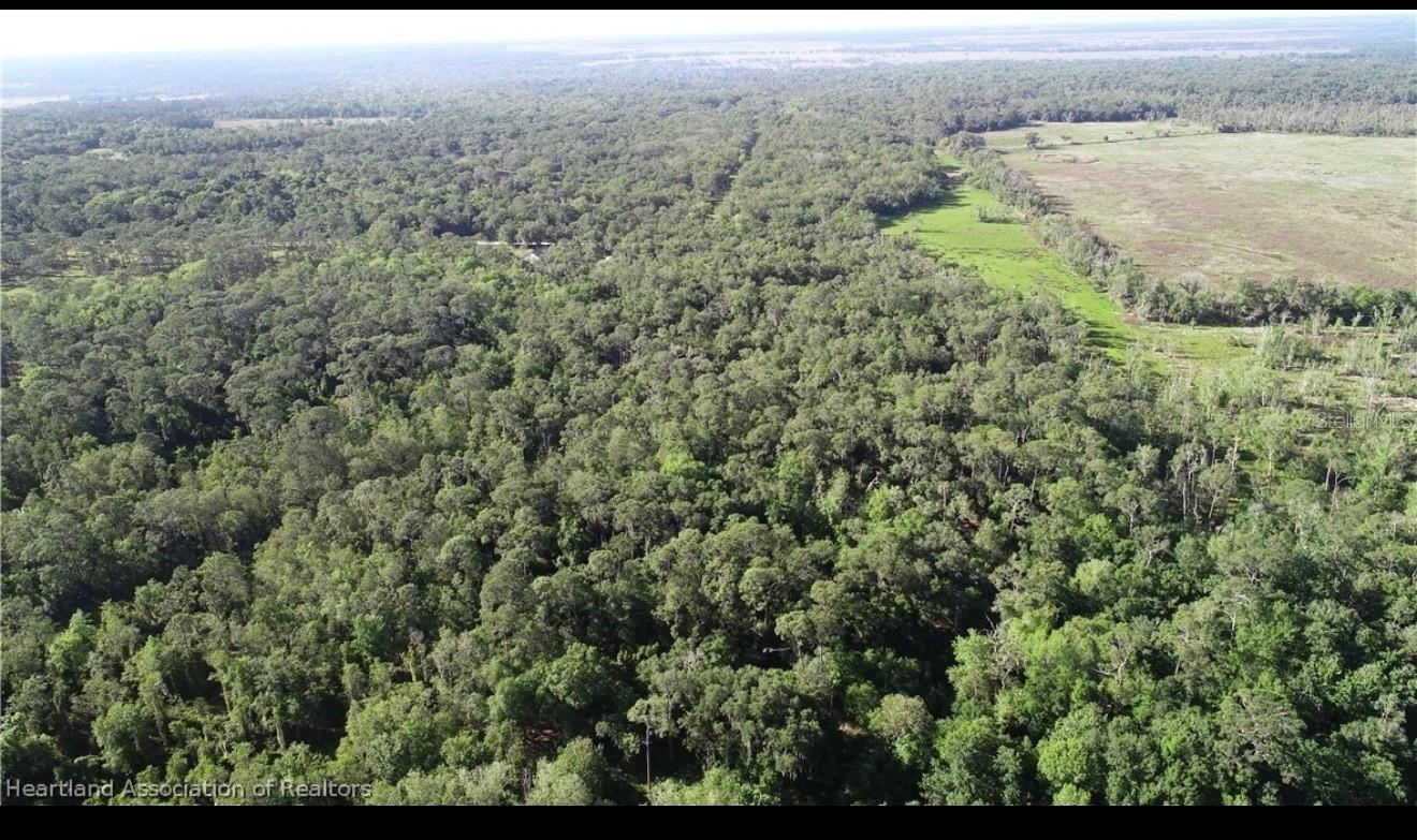 Image 7 of 15 For 1040 Cracker Hammock