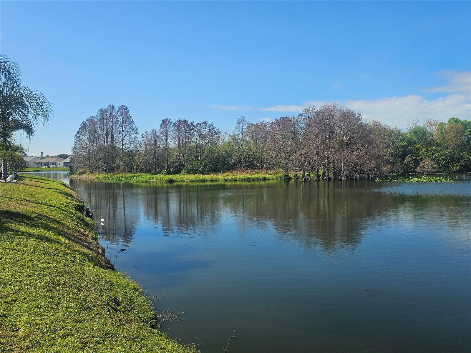 Image 10 of 44 For 433 Sailfish Boulevard