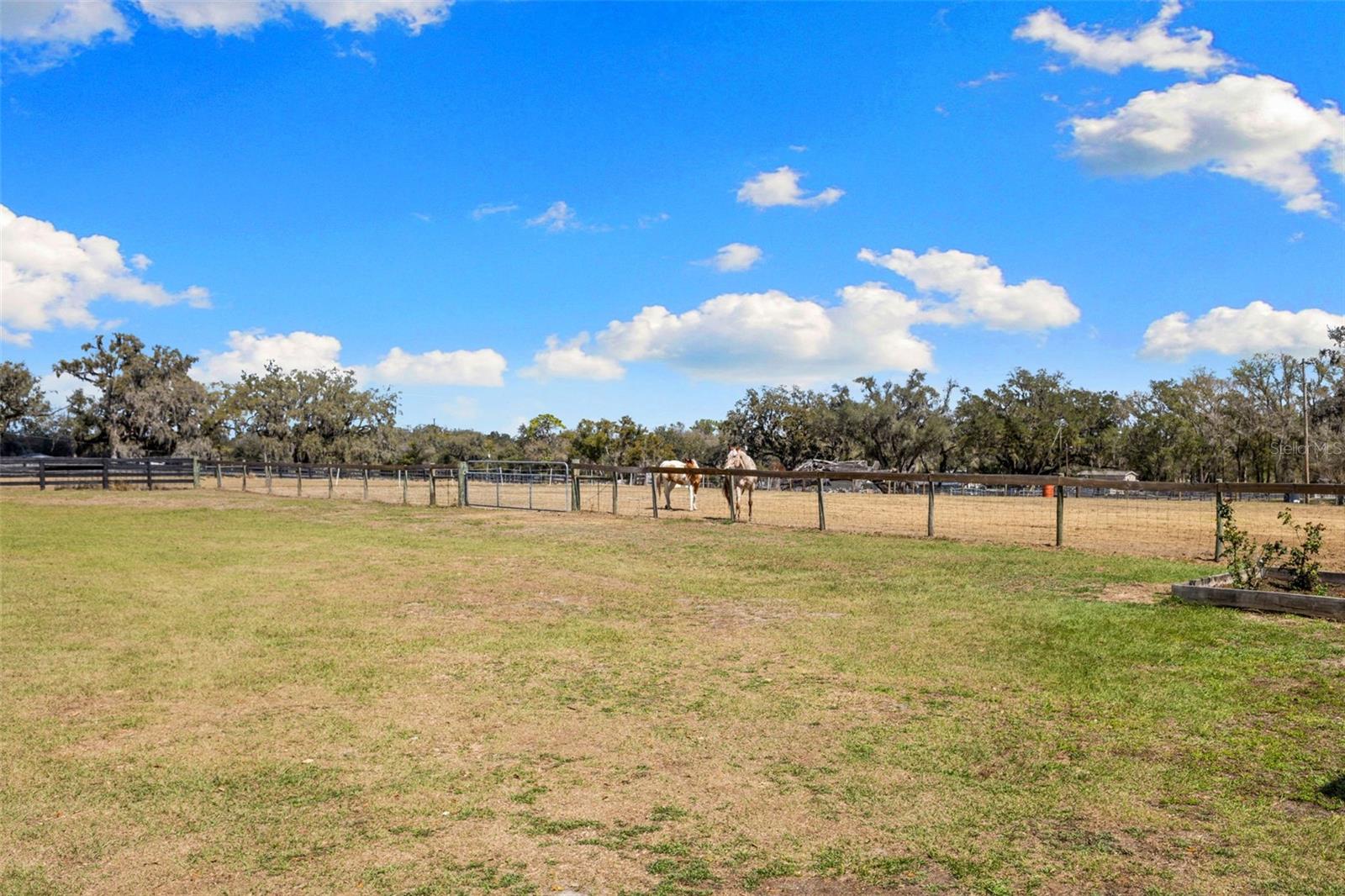 Image 27 of 51 For 4115 Ryals Road