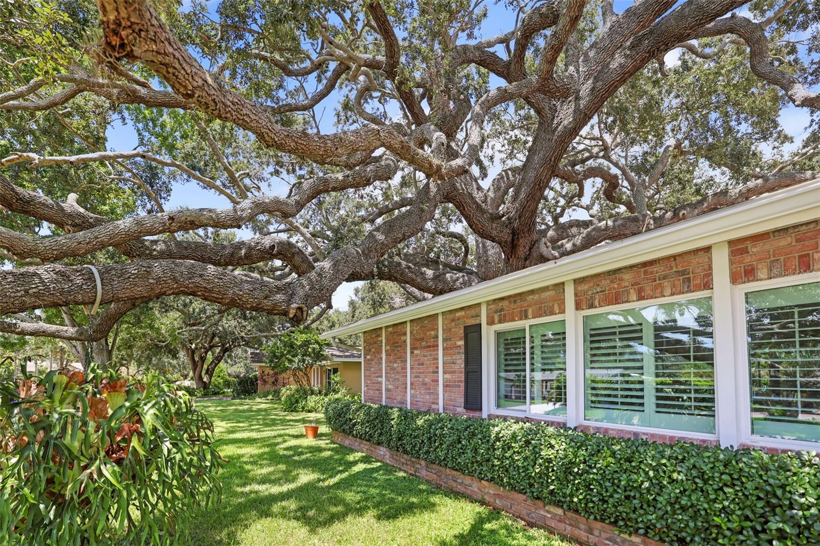 Image 65 of 69 For 2353 Demaret Drive