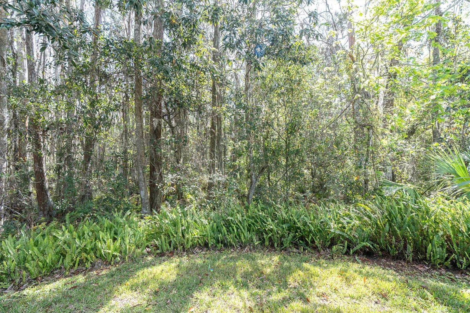 Image 29 of 32 For 7636 Wimpole Drive