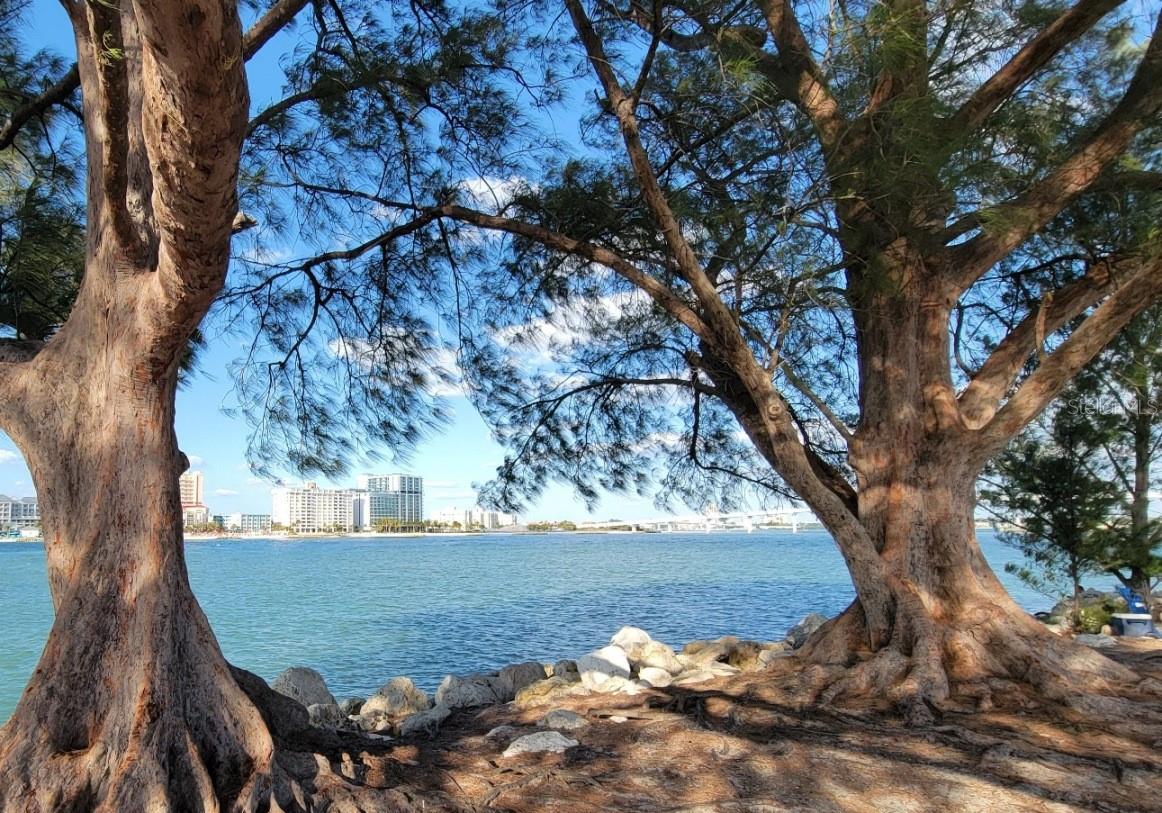 Listing photo id 16 for 691 Gulfview Boulevard 1510