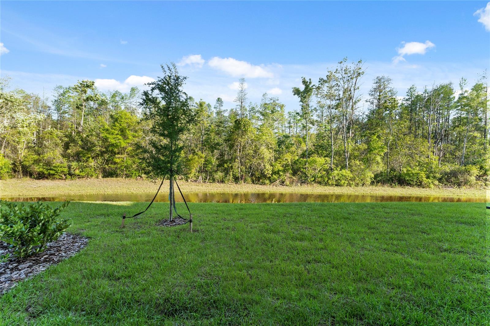 Image 38 of 47 For 17712 Nectar Flume Drive
