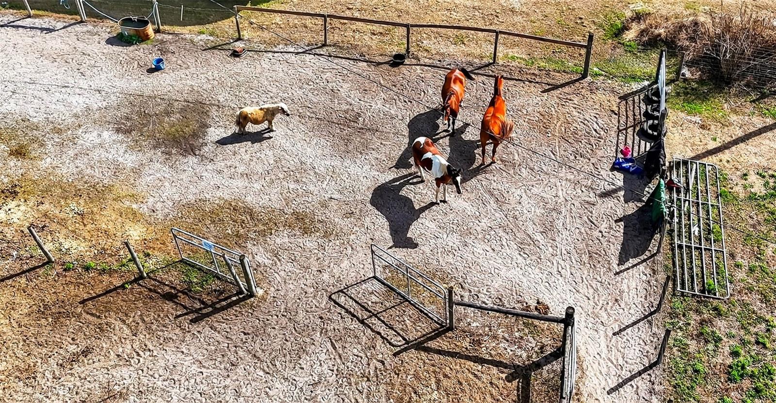 Image 21 of 23 For 4361 Cooper Road