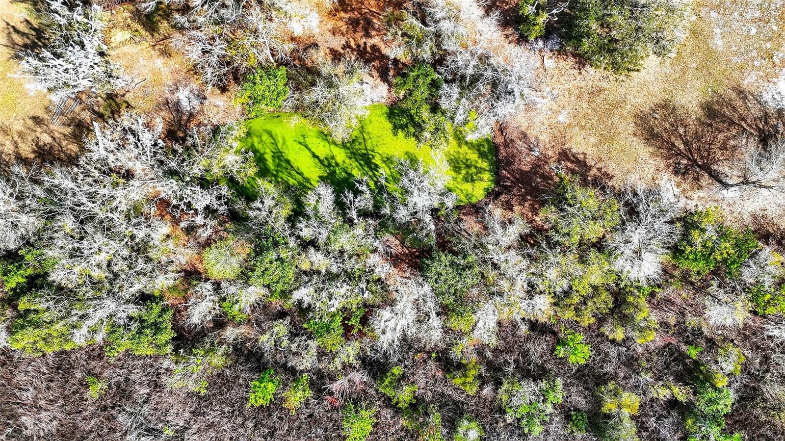 Image 22 of 23 For 4361 Cooper Road