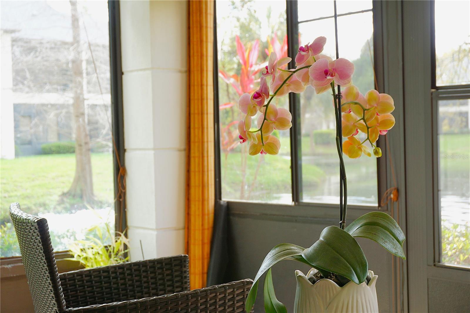 Image 31 of 36 For 13152 Village Chase Circle 1