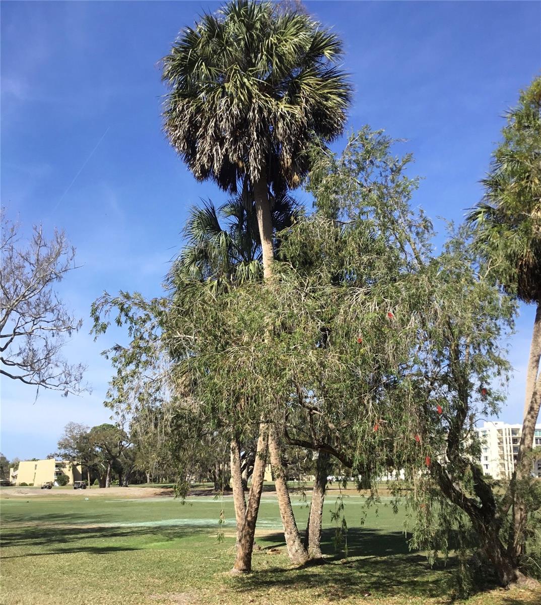 Image 3 of 5 For 48 Country Club Drive 48