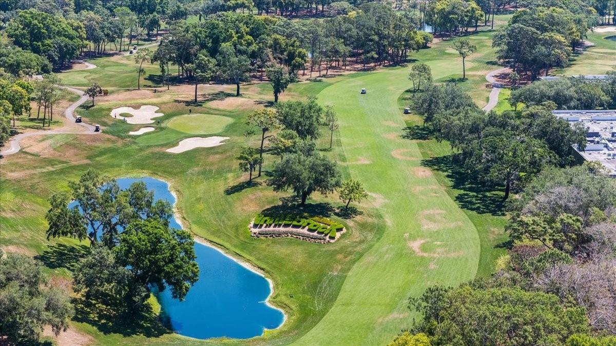 Image 38 of 42 For 36750 Us Highway 19  24-104