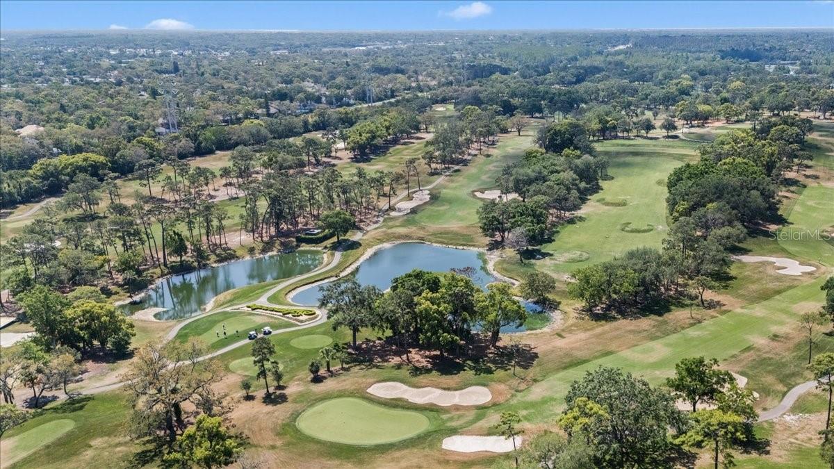 Image 42 of 42 For 36750 Us Highway 19  24-104