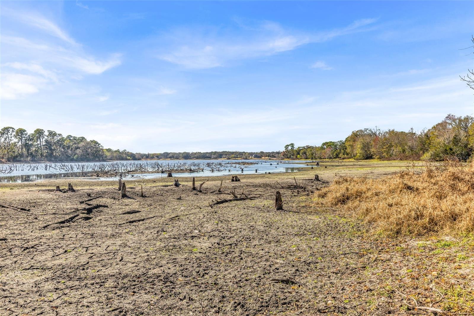 Image 75 of 86 For 13101 Shadow Run Boulevard