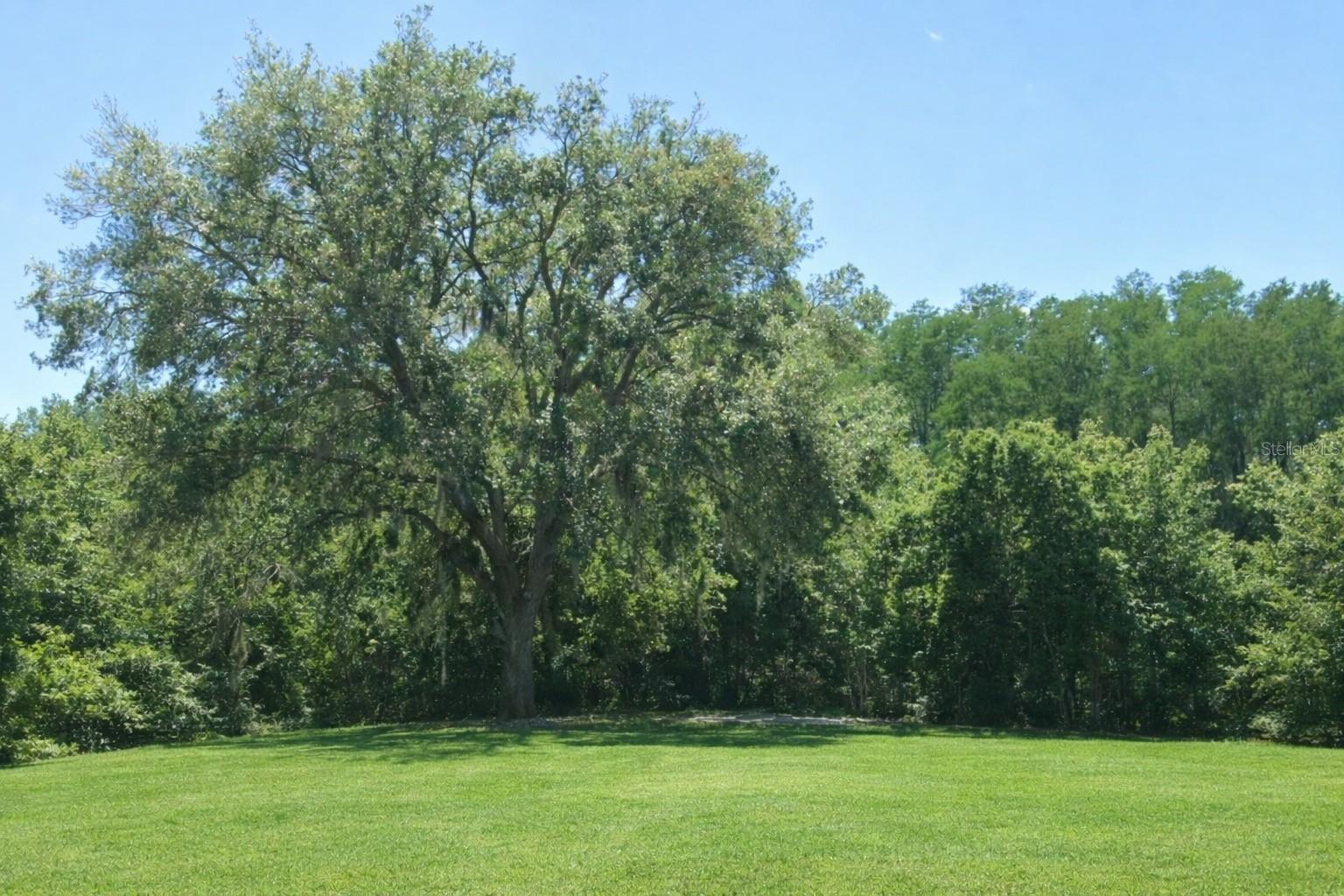 Image 2 of 3 For 0 Via Segovia