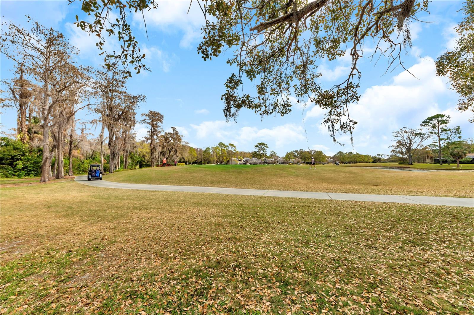 Listing photo id 36 for 4508 Rolling Green Lane 0