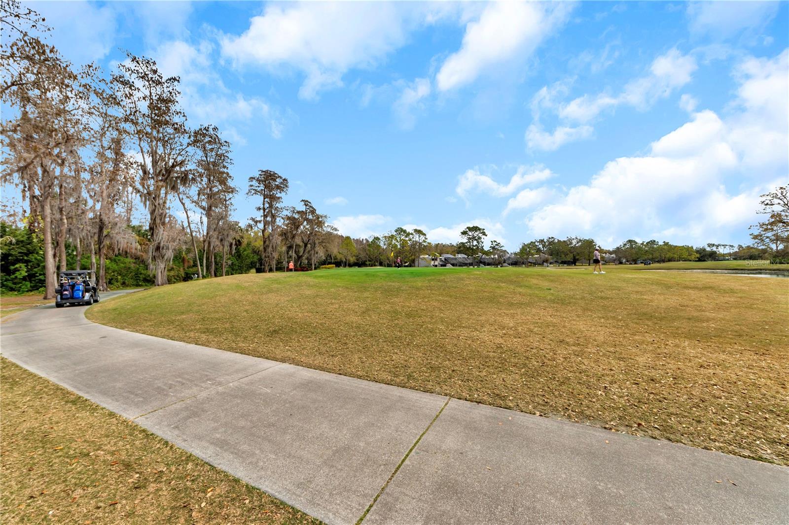 Listing photo id 37 for 4508 Rolling Green Lane 0