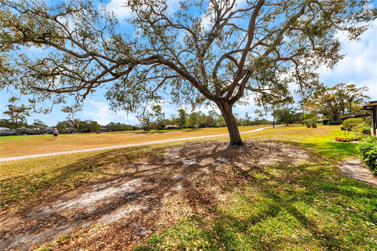 Listing photo id 49 for 4508 Rolling Green Lane 0