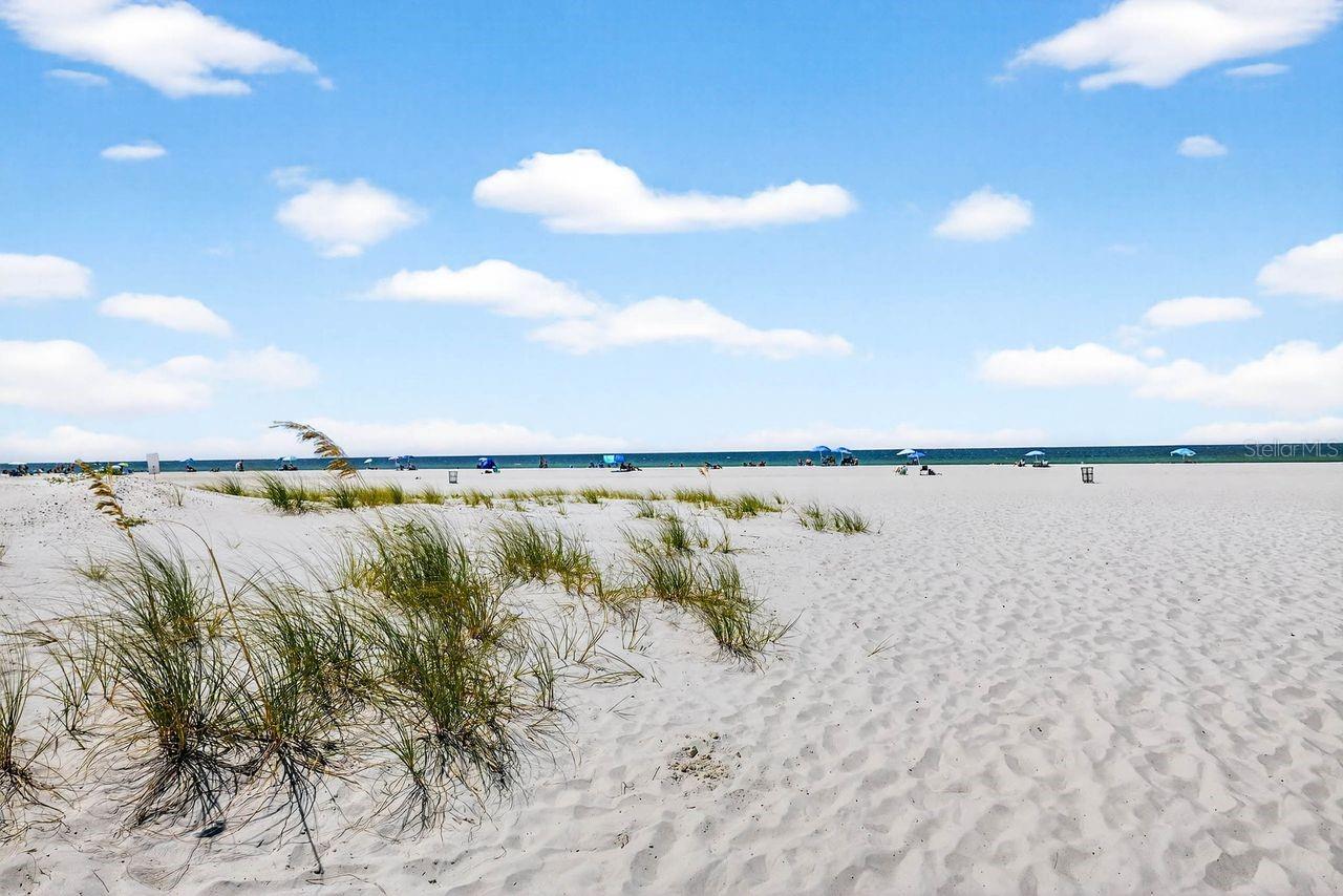 Image 48 of 59 For 26 Cambria Street