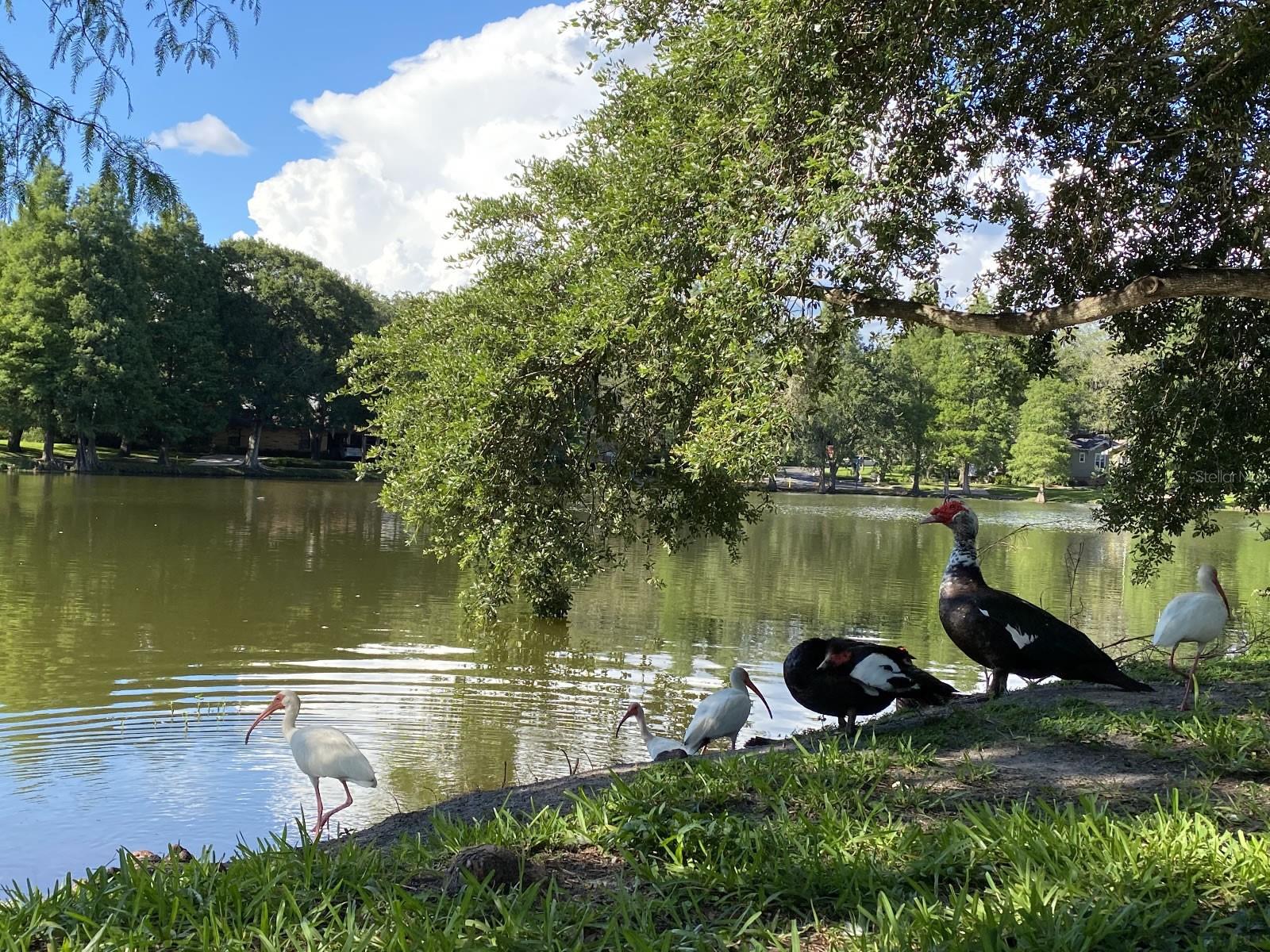 Image 54 of 64 For 5605 9th Street