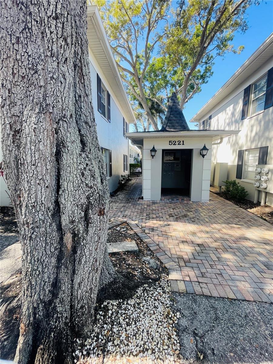 Image 20 of 21 For 5221 Bayshore Boulevard 19