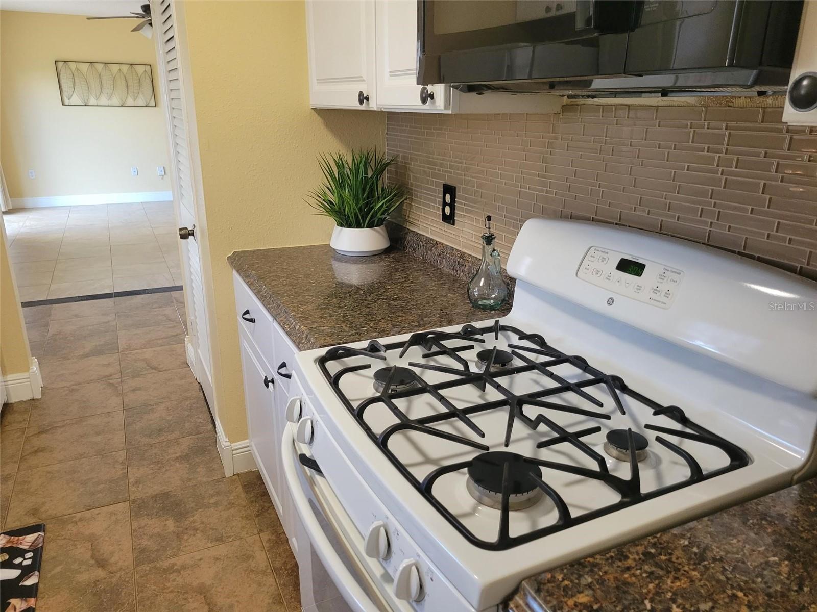 Listing photo id 29 for 10032 65th Avenue N 8